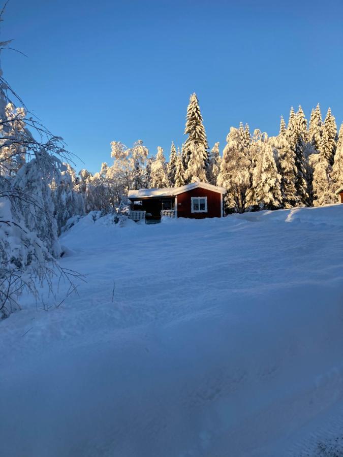 Baervallen 388 Sälen Kültér fotó